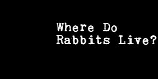 Where Do Rabbits Live?